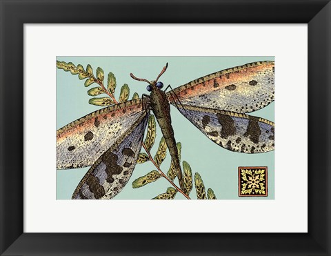 Framed Dragonfly on Aqua III Print