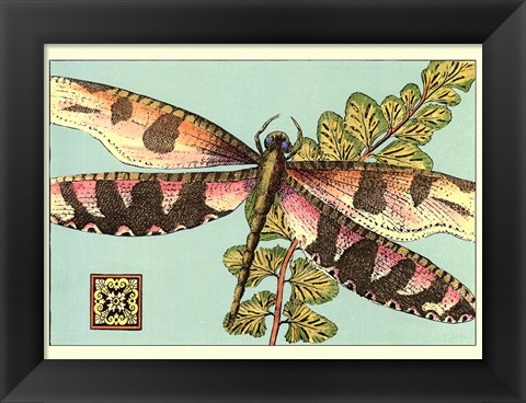 Framed Dragonfly on Aqua IV Print