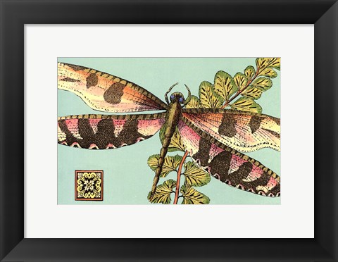 Framed Dragonfly on Aqua IV Print