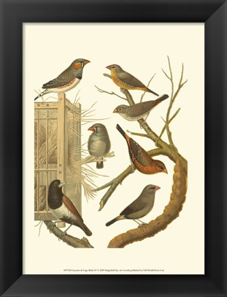 Framed Canaries &amp; Cage Birds IV Print