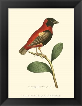 Framed Crimson Birds I Print