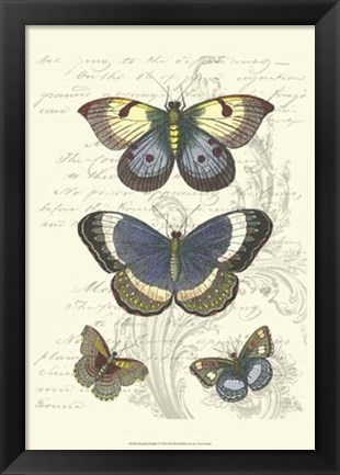 Framed Butterfly Delight I Print