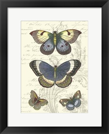 Framed Butterfly Delight I Print