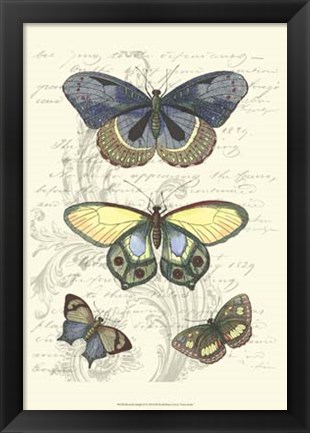 Framed Butterfly Delight II Print