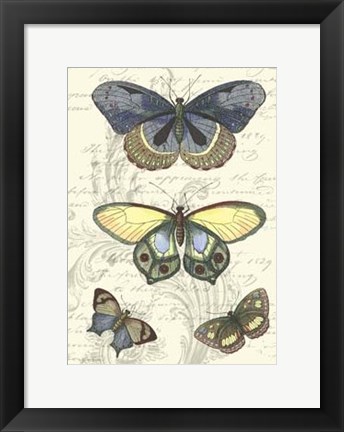 Framed Butterfly Delight II Print