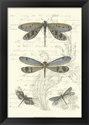 Framed Dragonfly Delight I Print