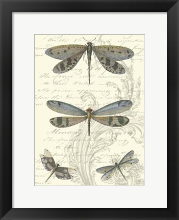 Framed Dragonfly Delight I Print