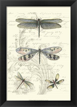 Framed Dragonfly Delight II Print