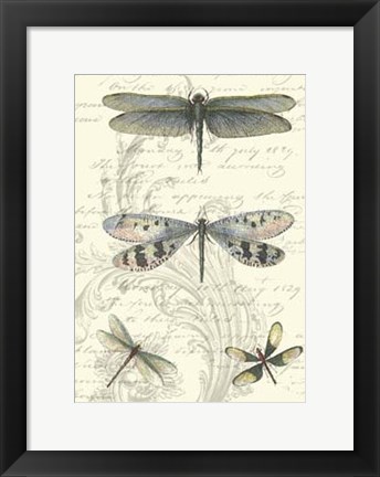 Framed Dragonfly Delight II Print