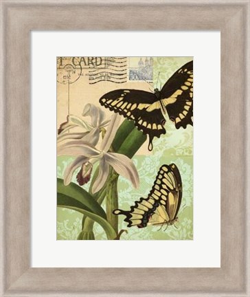 Framed Nature&#39;s Tapestry II Print