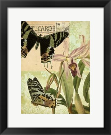 Framed Nature&#39;s Tapestry IV Print