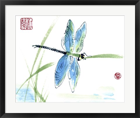 Framed Dragonfly Print