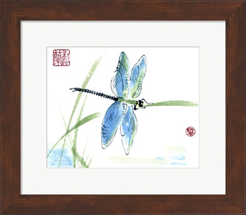 Framed Dragonfly Print