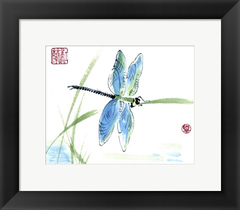 Framed Dragonfly Print