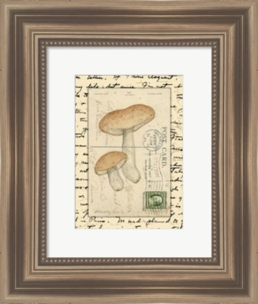 Framed Mushrooms II Print