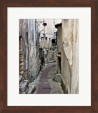 Framed Cobbled Walkway II Print