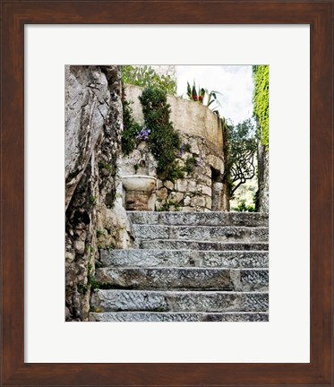 Framed Cobbled Walkway III Print