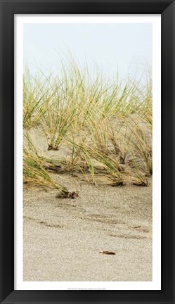 Framed Dunes II Print