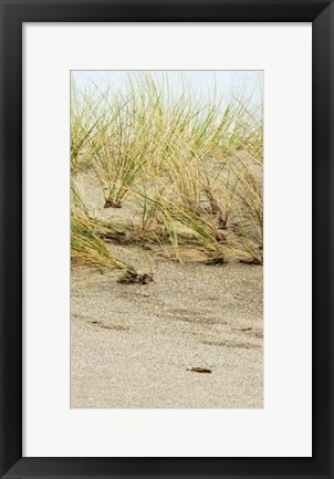 Framed Dunes II Print