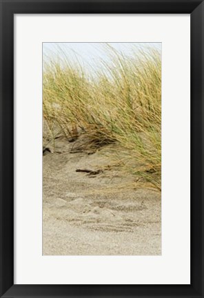 Framed Dunes III Print