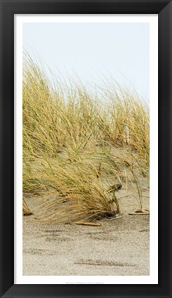 Framed Dunes IV Print