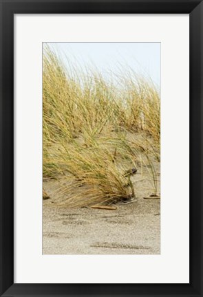 Framed Dunes IV Print