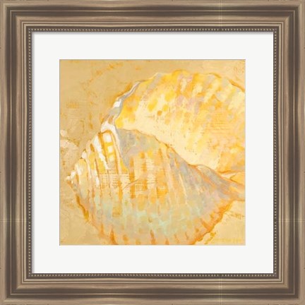 Framed Shoreline Shells IV Print