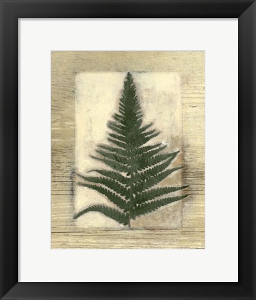 Framed Texturized Fern I Print