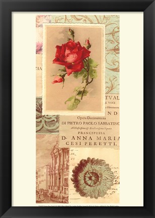 Framed Vintage Rose Panel II Print