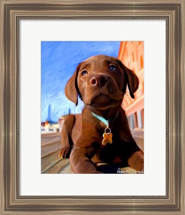 Framed Lab Puppy Print