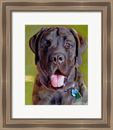 Framed Mastiff Print