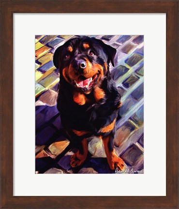 Framed Handsome Rottie Print