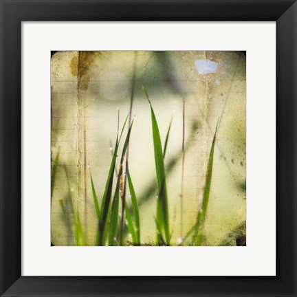 Framed Green II Print