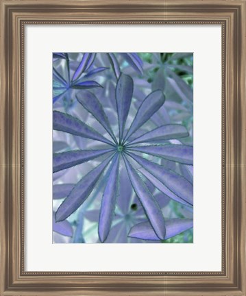 Framed Woodland Plants in Blue I Print