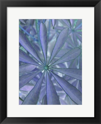 Framed Woodland Plants in Blue II Print