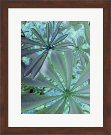 Framed Woodland Plants in Blue III Print