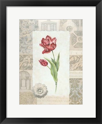 Framed Victorian Tulip I Print