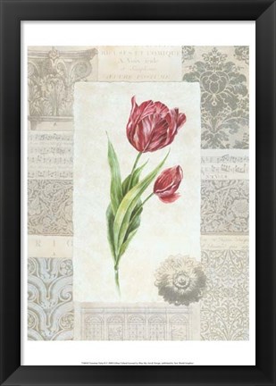 Framed Victorian Tulip II Print