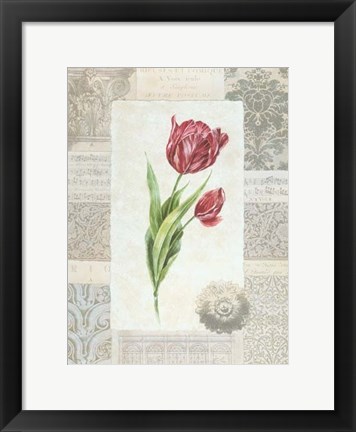 Framed Victorian Tulip II Print