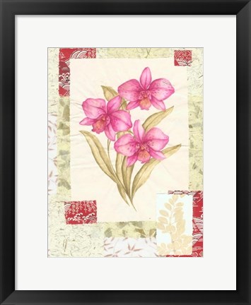 Framed Magenta Flower Studies I Print