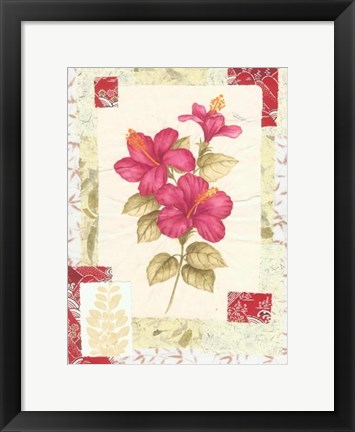 Framed Magenta Flower Studies IV Print