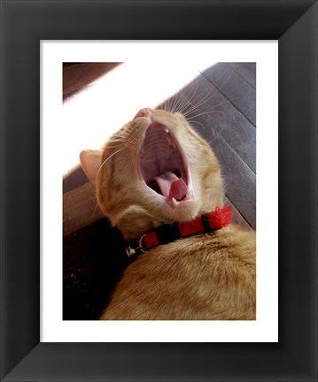 Framed Yawn! Print