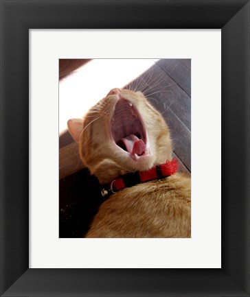 Framed Yawn! Print