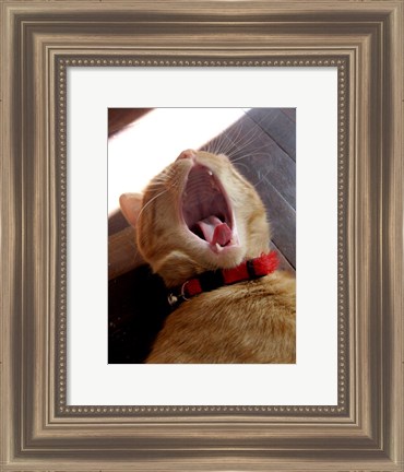 Framed Yawn! Print