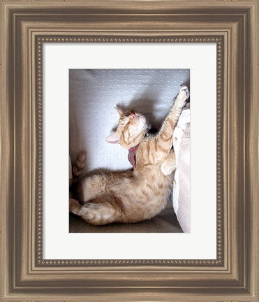 Framed Just Stretchin Print