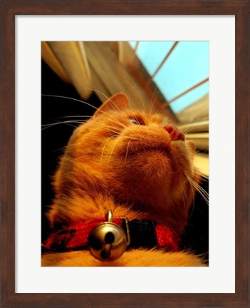 Framed Mr. Jingles Print