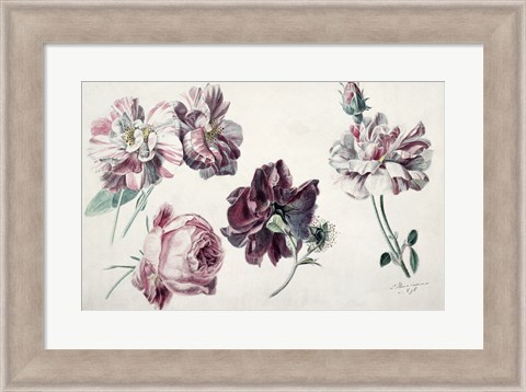 Framed Roses Print