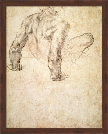 Framed W.63r Study of a male nude, leaning back on his hands Print