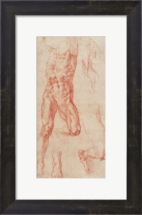 Framed W.13r Study of a male nude, stretching upwards Print