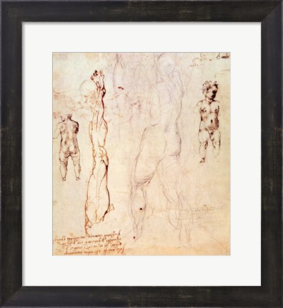 Framed Anatomical drawings with accompanying notes Print